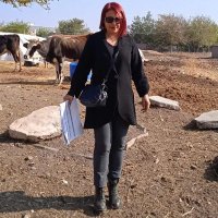 Nilüfer Unat (@nunuusta) Twitter profile photo