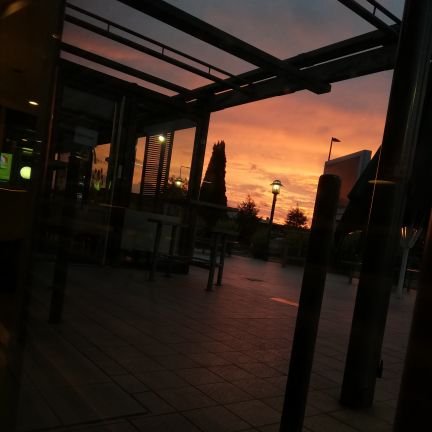 ElodieL5496's profile picture. 