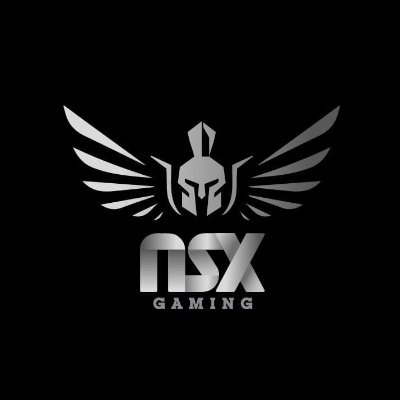 NSX GAMING