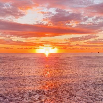 lpoulton's profile picture. It seems like you have to be careful what you say and what you see in the uk now.. stay vigilant