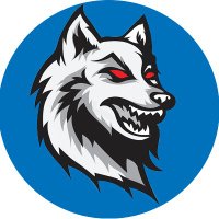 HeadWolf(@headwolfcs) 's Twitter Profile Photo