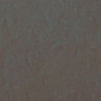 davewithbigdick's profile picture. i love dogs not the pet 👣