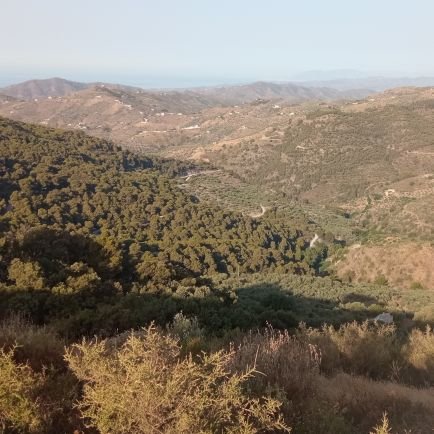 Tarz1Elsastrede's profile picture. 