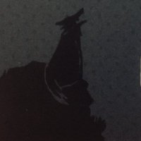 ミカサ (@mikasa_kazuto) Twitter profile photo