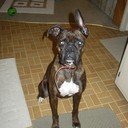 Mindy Shaffer - @saxylady1 - Twitter