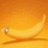 higyhicor's profile image