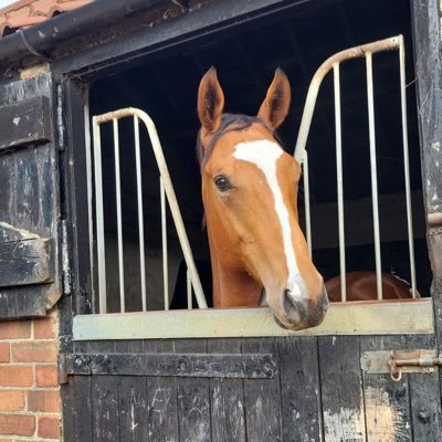 Rugby, American Football and occasional horse racing. One half of Star Racing.  Horses in training with Katie Scott. All views my own