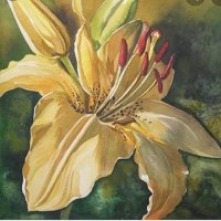 Elazuc (@elazuc) 's Twitter Profile