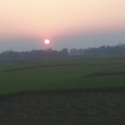 SahedcoxMd's profile picture. Students