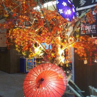 ShikiRacingF1's profile picture. F1みたり箱車のゲームしたり