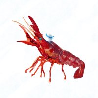 Avatar of エレガントザリガニ
