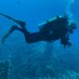 SportDiver (@bob11674043) Twitter profile photo