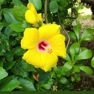 runner_ana's profile picture. ✌️
#covidisairborne
#maskup