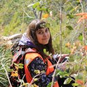 Aline Hodges - @AlineHodgita - Twitter