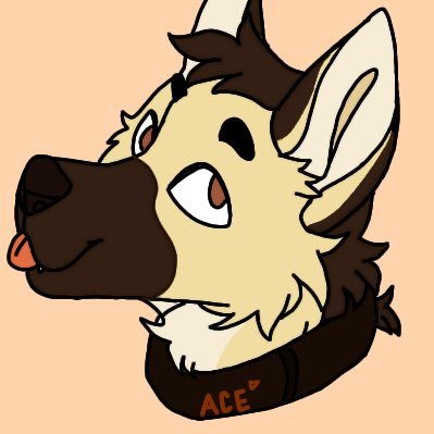 @AcedatShep