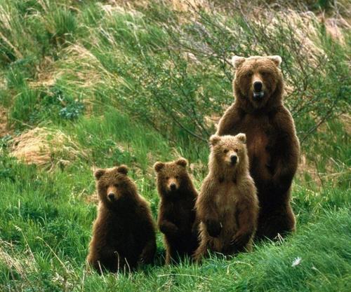 cagonzales40's profile picture. 