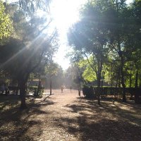 Viveros de Coyoacán (@viveroscoyoacan) 's Twitter Profile