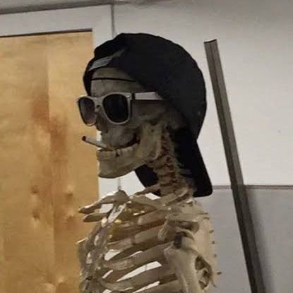 elhombreannimo1's profile picture. 