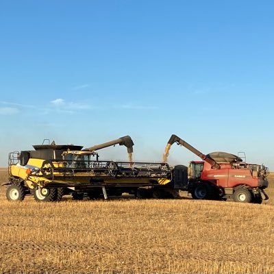 gleim_k's profile picture. 