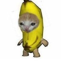 TheQoiin's profile picture. 