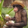 zaychartyayeee's profile picture. Funding the future, one bold idea at a time.
Venture-backed. Vision-driven. Monarch Capital.