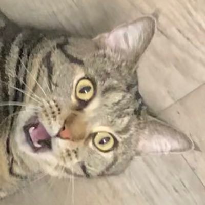 mrstuie1's profile picture. Don’t forget to have fun