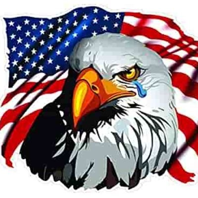 LibbyViHere's profile picture. Praying for our country! 💔 ~
Libby is my actual name, NOT my political party 🇺🇸