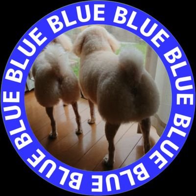 MIYUGAPPA's profile picture. MELOGAPPAさん大好きです
❣️
【280応援隊】
急遽東京公演初日、参戦。
大阪公演は2days参戦です🎵