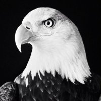 Brandon Lee Gowton (@brandongowton) 's Twitter Profile Photo Brandon Lee Gowton (@brandongowton) 's Twitter Profile Photo