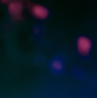 eg89412927's profile picture. 