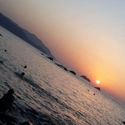 Mahmoud_Allam58's profile picture. 🌿