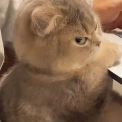 MM21507L's profile picture. ส่วนตัว.