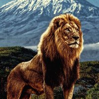 ابو النور (@bilal75942146) Twitter profile photo