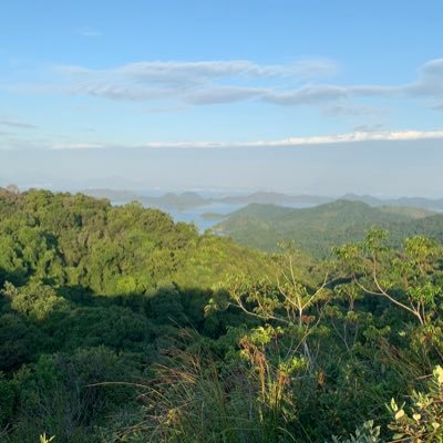 harrisonkongcy's profile picture. 