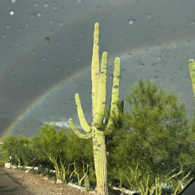 Born and raised in the Arizona desert. Daydreamer, photographer, weather watcher, science nerd.