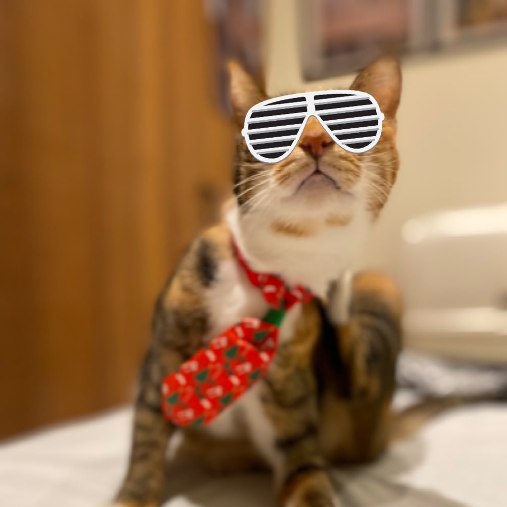 LuMenMOM_JADE's profile picture. 🇹🇼台灣菜頭⭐️☀️💨🌸 \日月教徒/ MAMAMOO MY CON日韓台場全勤🤩｜🔍🇰🇷🇯🇵🇹🇼可看my con片段&後記｜偶爾會找有緣人湊團省錢買週邊