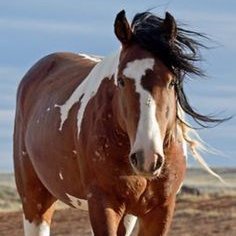 danawil18464900's profile picture. 46 years old .i live in eastern shore maryland .