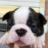 ホッピー氷無し (@yoshikey5211) Twitter profile photo