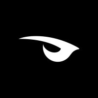 Raven(@RavenGG) 's Twitter Profile Photo