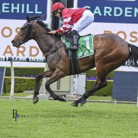 Amy McLucas (@amymclucas99) 's Twitter Profile