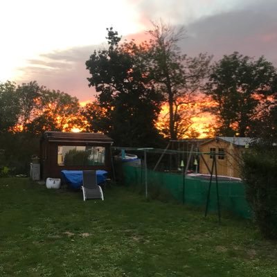 luys91's profile picture. 