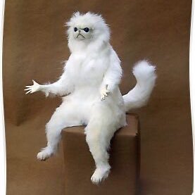 heyboddy20's profile picture. 