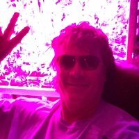 Jack Adkins (@jackadkinsfreds) 's Twitter Profile