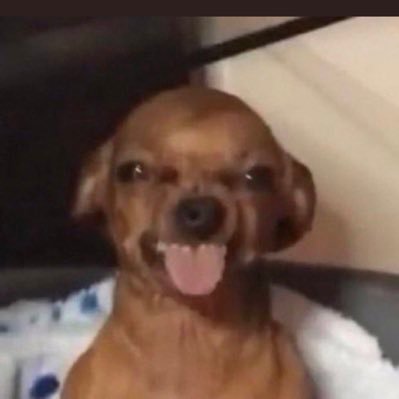 ubotheredicon's profile picture. Heathen. Hater. High class✨ African American girl. Jolie Belle ❤️🖤💚