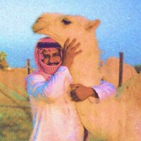 قوس السهام (يرحمة الله ) (@al_shmlani) 's Twitter Profile