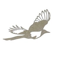 Bird Design Letterpress (@bdletterpress) 's Twitter Profile Photo