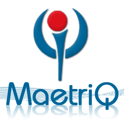 Maetriq: Project Management Consultancy for Development and Implemention of Strategic Project Management Models & Solutions, Risk Assessment, Process Analysis