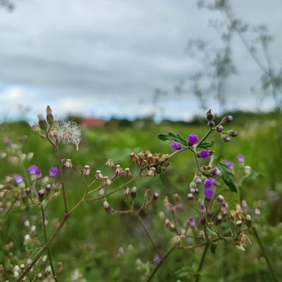 rddrgn28's profile picture. 