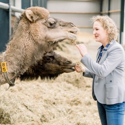 Working with farmers worldwide, in Nederland via mijn bedrijf KoningBoer, als kamelenboerin en nu ook als groepsaccommodatie/B&B eigenaar.