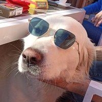 Ellio ⚡ (@ellio_lee) 's Twitter Profile